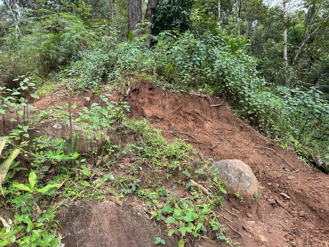 Pai Loop — photo 5