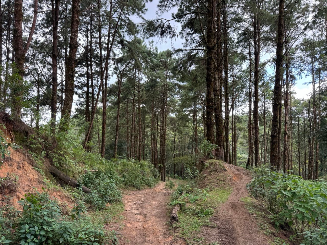 Pai Loop — photo 7