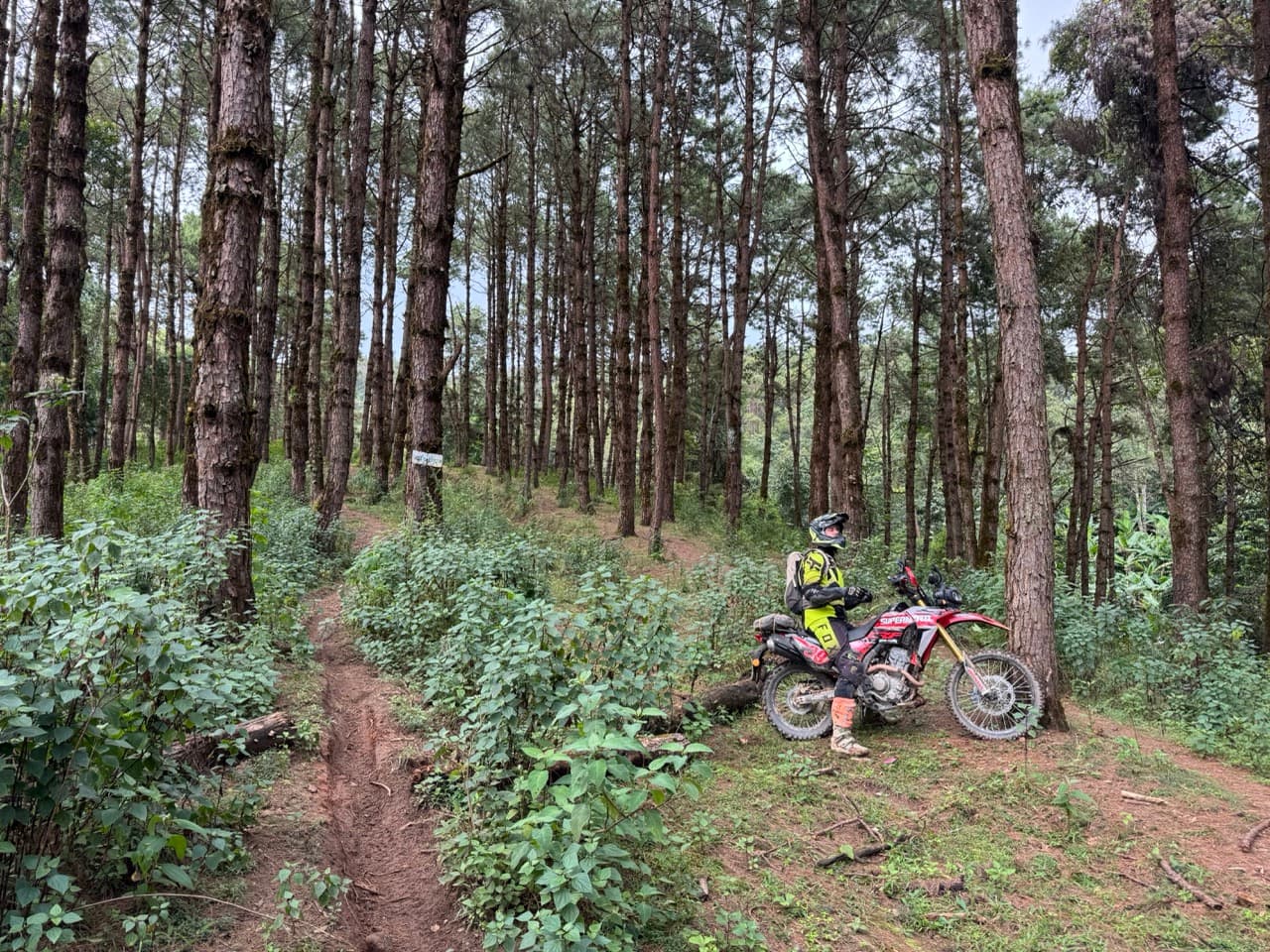 Pai Loop — photo 8