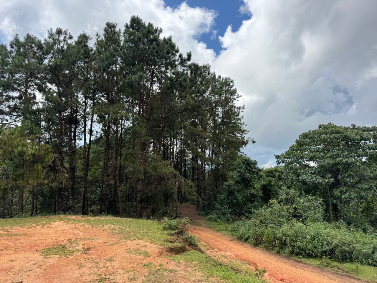 Pai Loop — photo 10