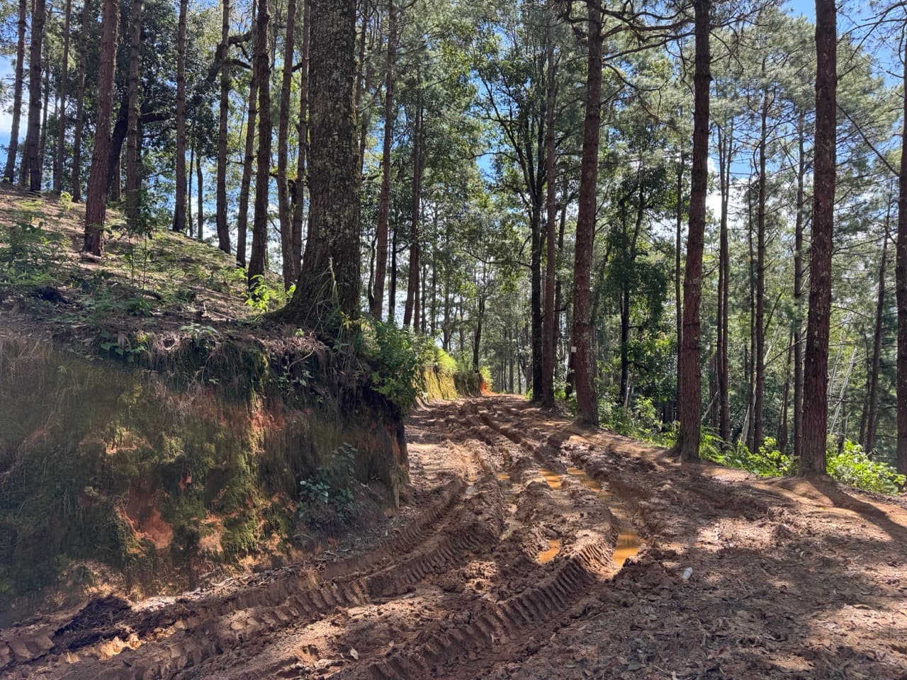 Pai Loop — photo 11
