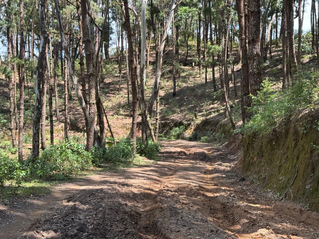 Pai Loop — photo 12