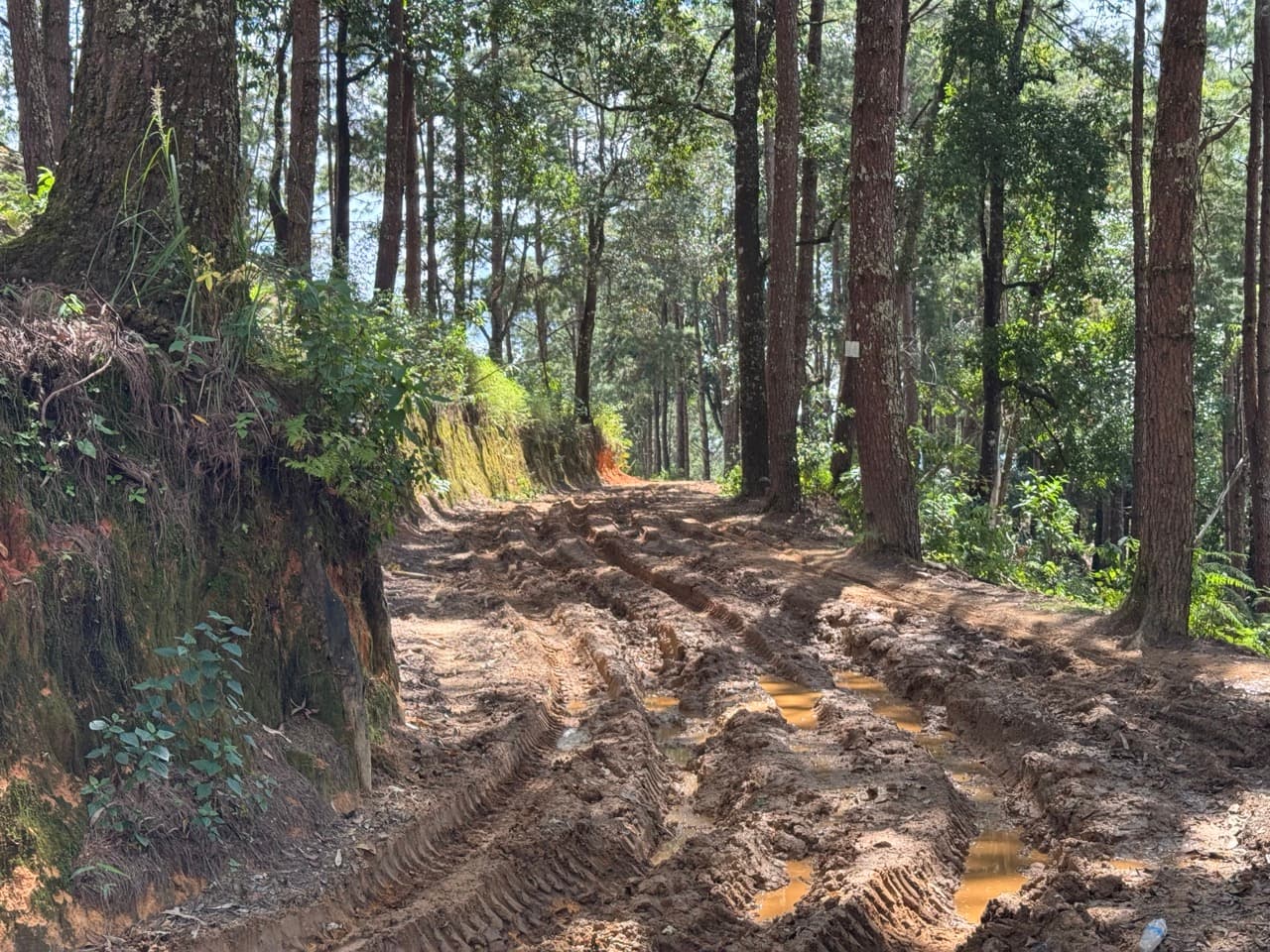 Pai Loop — photo 13