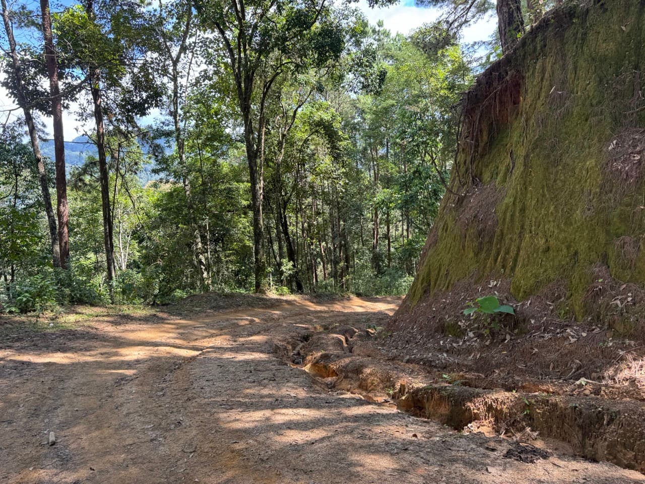 Pai Loop — photo 14