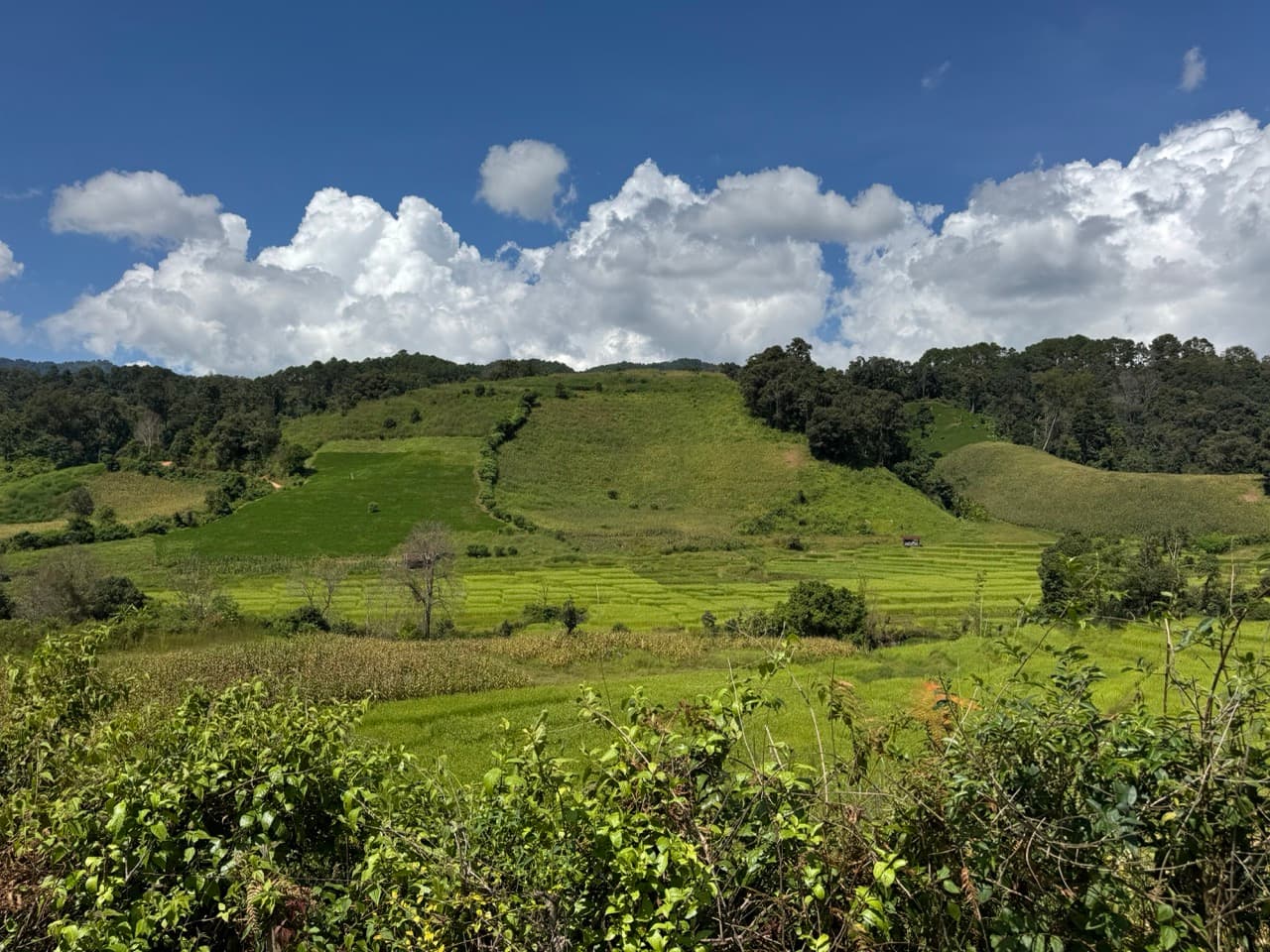 Pai Loop — photo 15