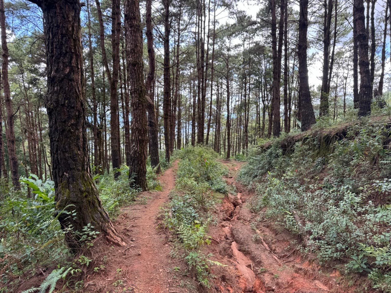 Pai Loop — photo 16