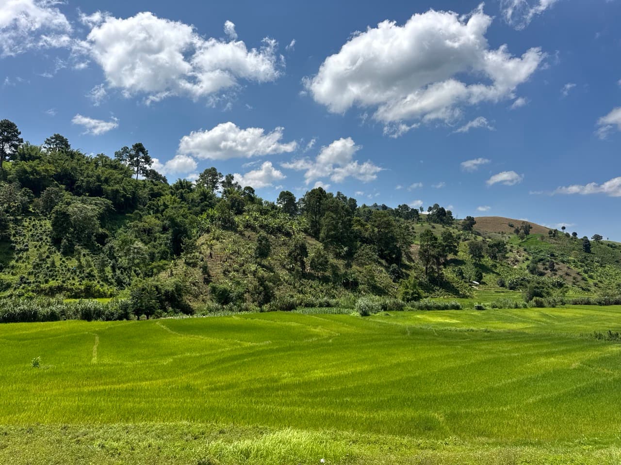 Doi Mae Salong Burma Border Ridgeline Ride — photo