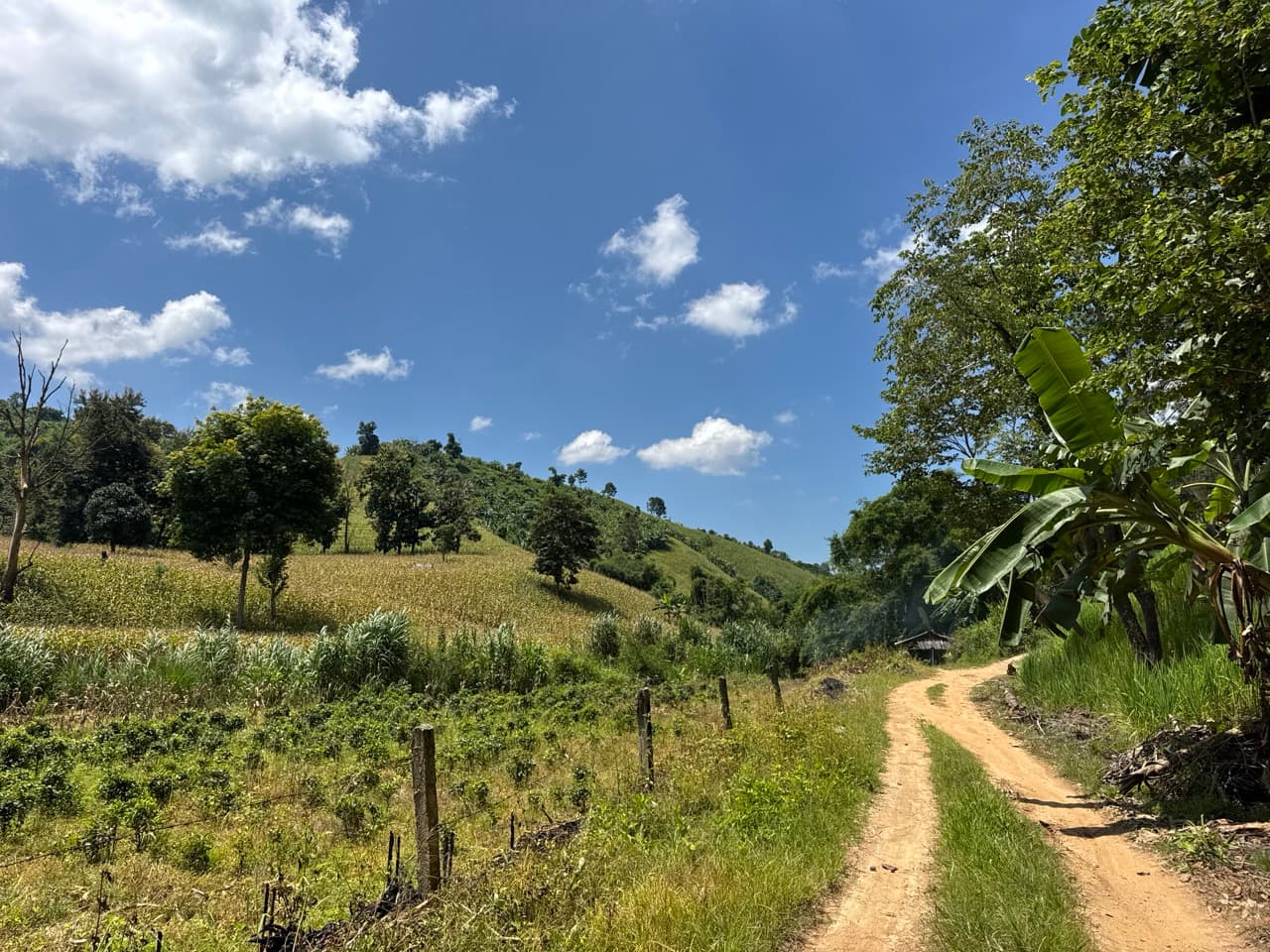 Doi Mae Salong Burma Border Ridgeline Ride — photo