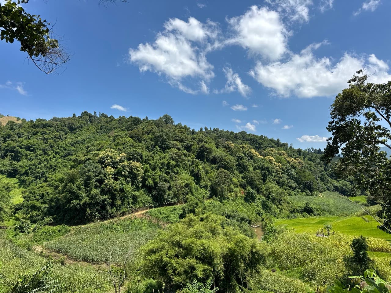 Doi Mae Salong Burma Border Ridgeline Ride — photo 5