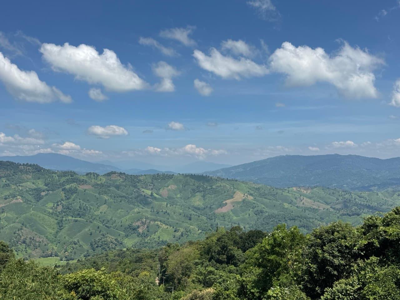Doi Mae Salong Burma Border Ridgeline Ride — photo 7