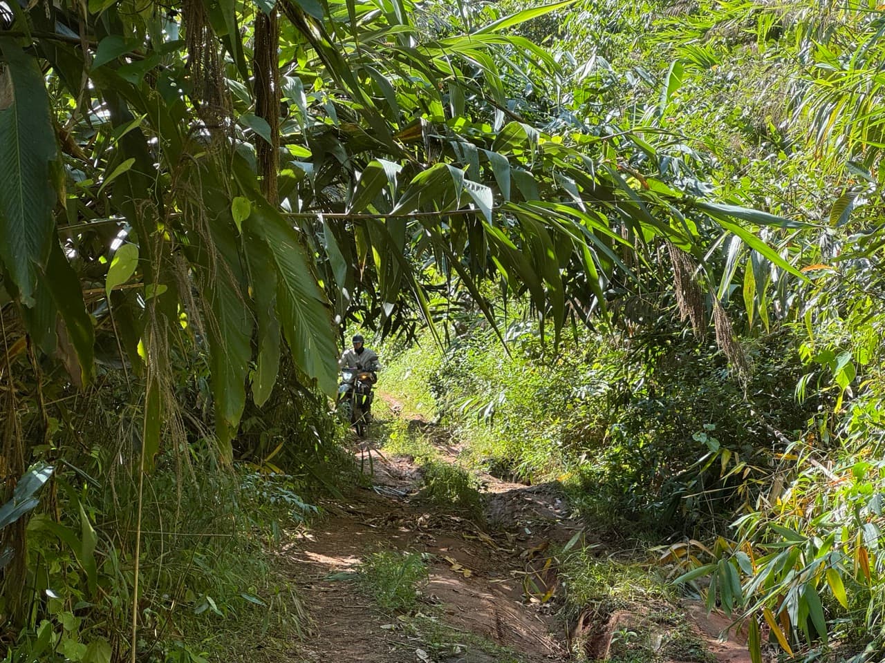 Doi Mae Salong Burma Border Ridgeline Ride — photo 26