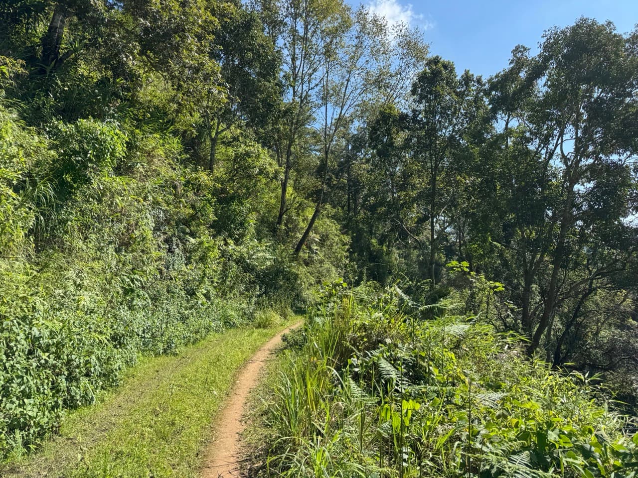 Doi Mae Salong Burma Border Ridgeline Ride — photo 32