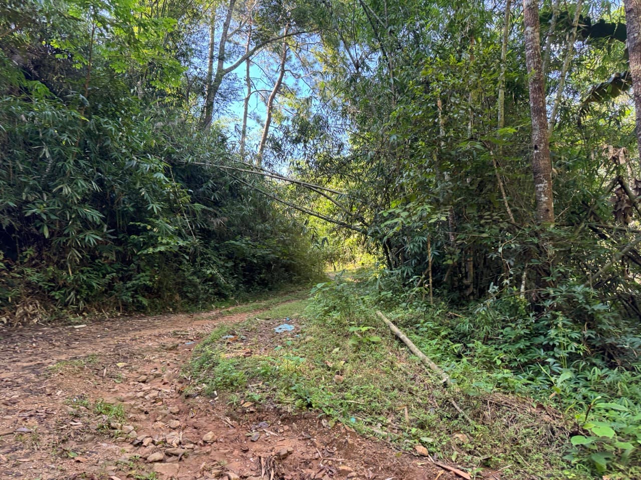 Doi Mae Salong Burma Border Ridgeline Ride — photo 33