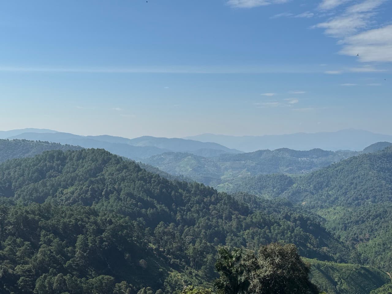 Doi Mae Salong Burma Border Ridgeline Ride — photo 35