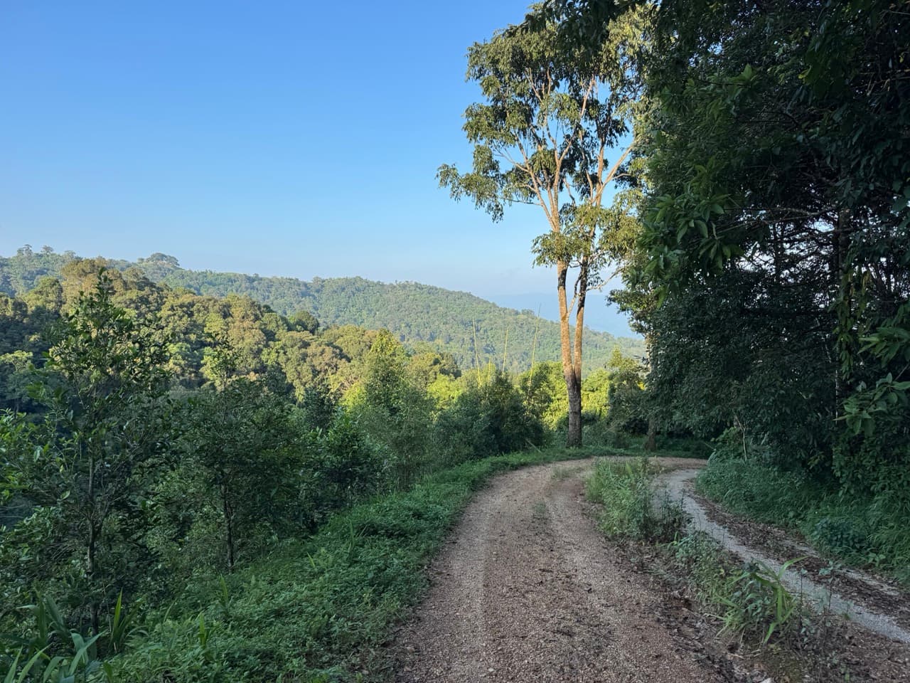 Doi Pha Hom Pok Burmese Border Route — photo