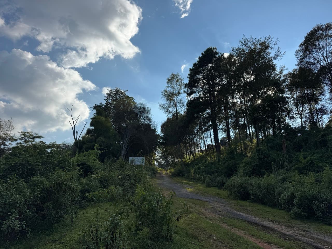 Doi Pha Hom Pok Burmese Border Route — photo 6