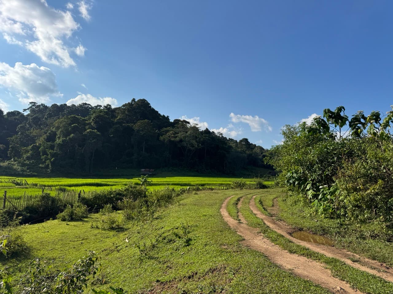 Doi Pha Hom Pok Burmese Border Route — photo 11