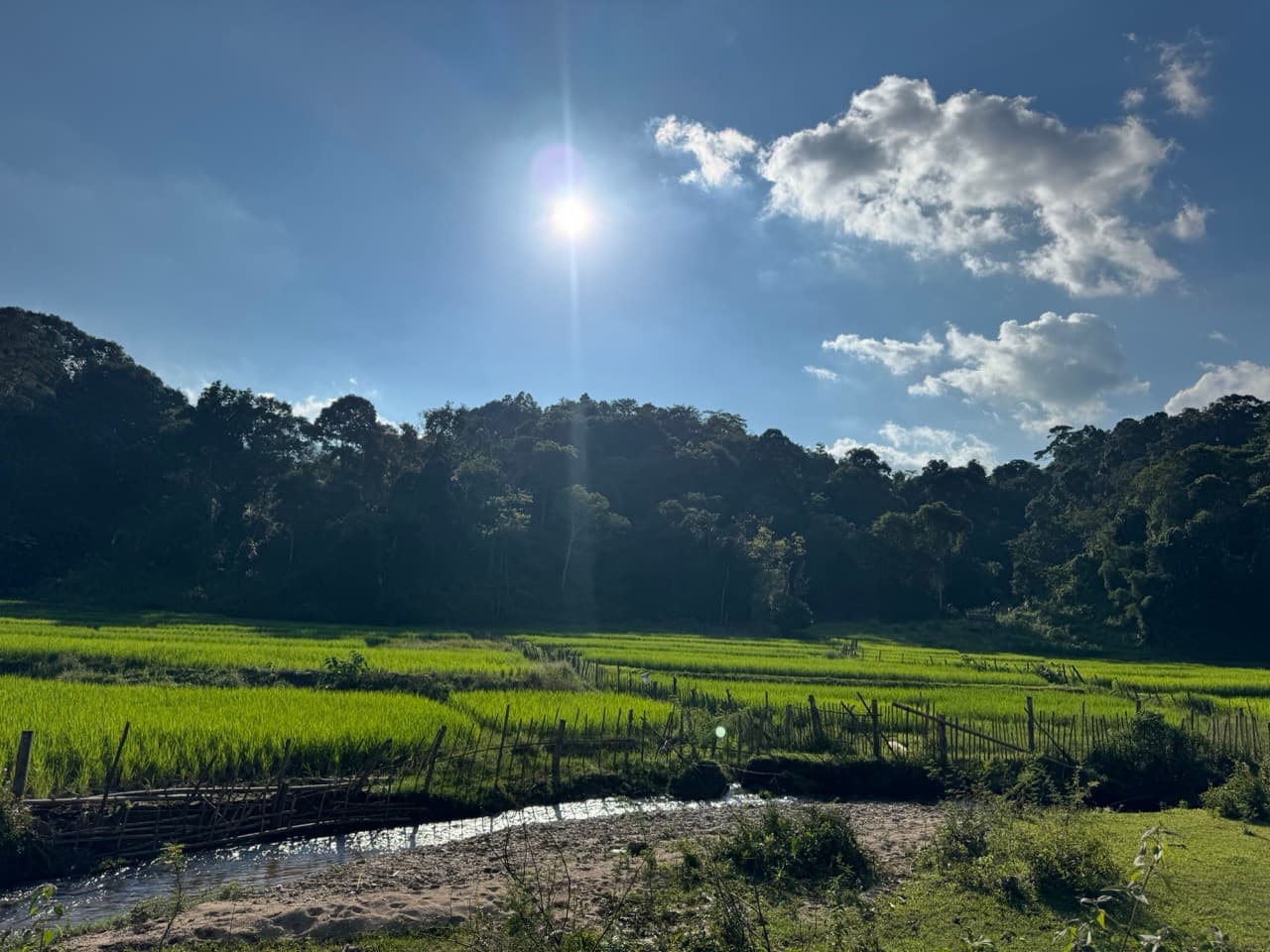 Doi Pha Hom Pok Burmese Border Route — photo 12