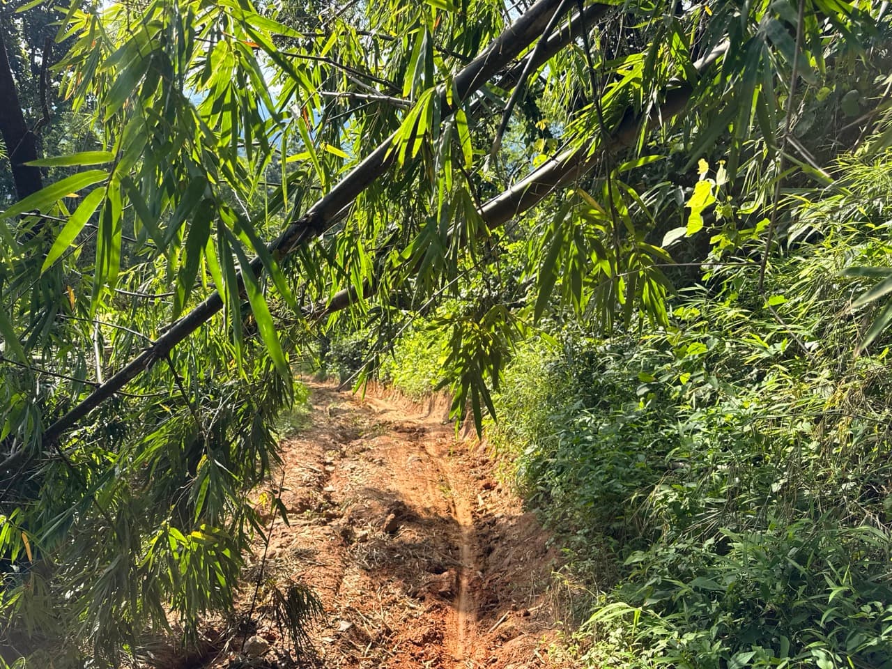 Doi Pha Hom Pok Burmese Border Route — photo 17