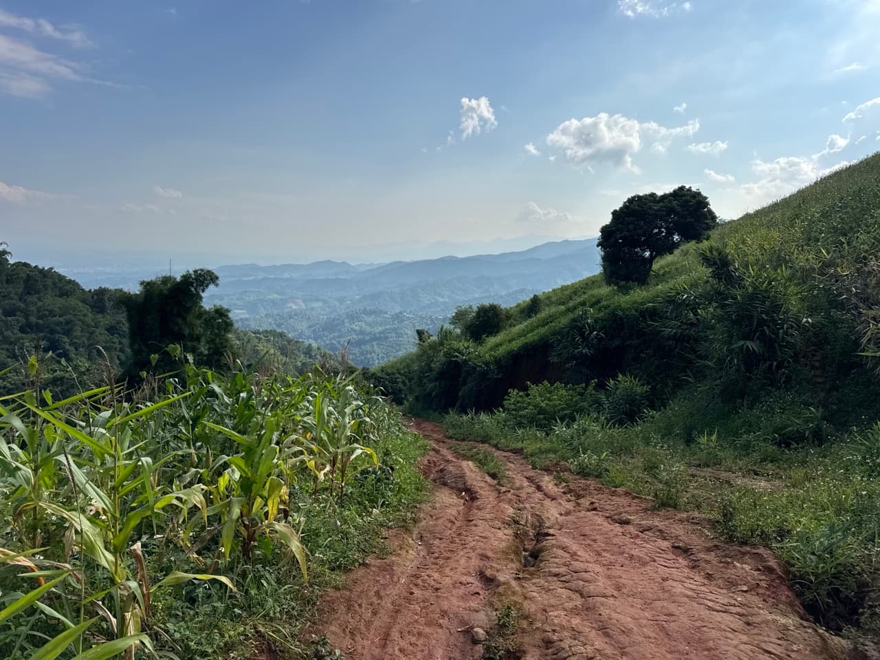 Doi Pha Hom Pok Burmese Border Route — photo 18