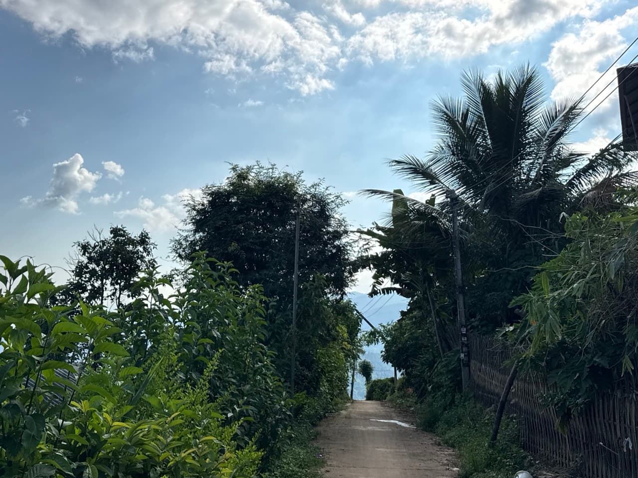 Doi Pha Hom Pok Burmese Border Route — photo 19