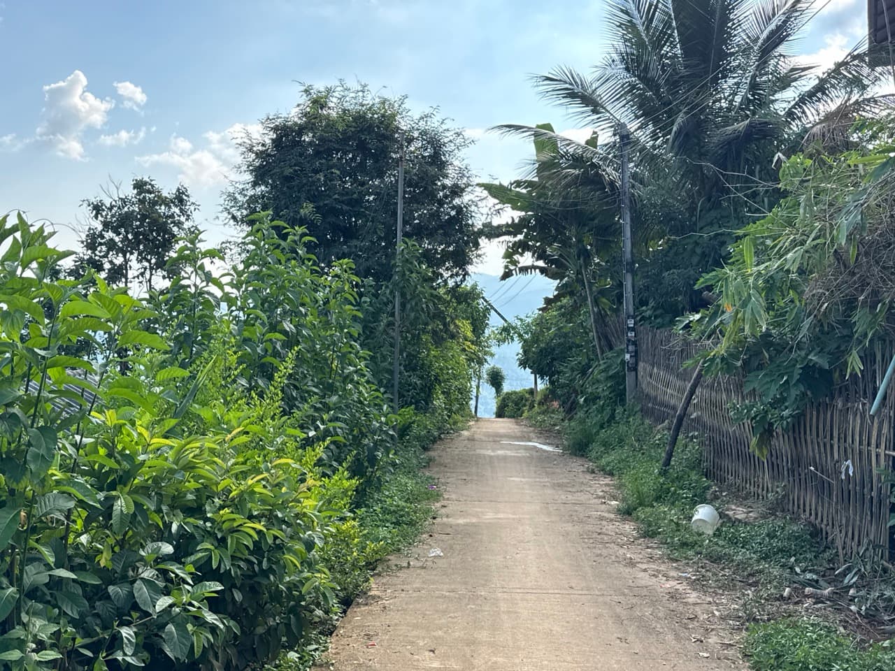 Doi Pha Hom Pok Burmese Border Route — photo 20