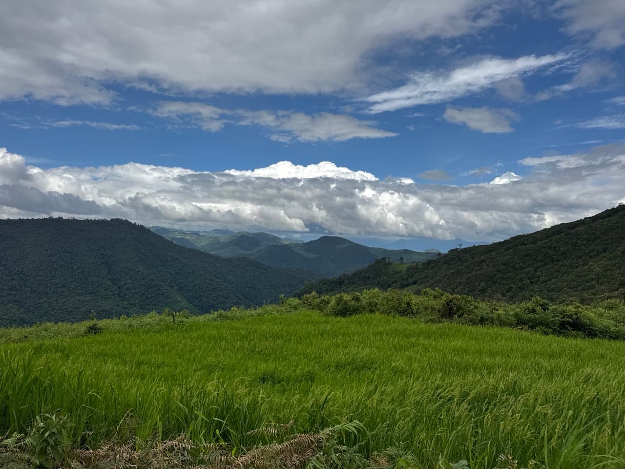 Mae Sariang to Mae Chaem via Village Roads — photo 19