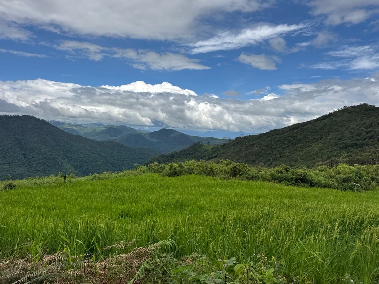 Mae Sariang to Mae Chaem via Village Roads — photo 20