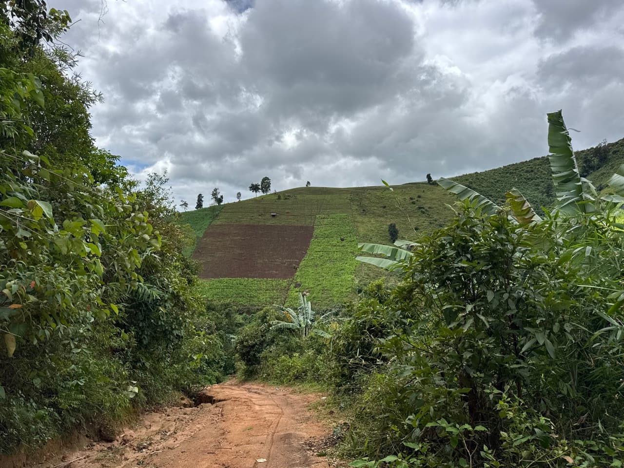 Mae Sariang to Mae Chaem via Village Roads — photo 29