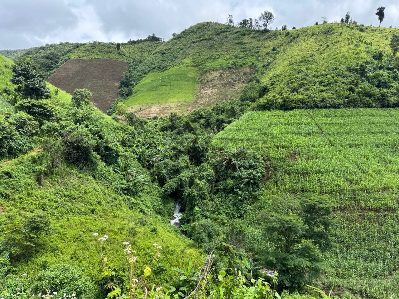 Mae Sariang to Mae Chaem via Village Roads — photo 35