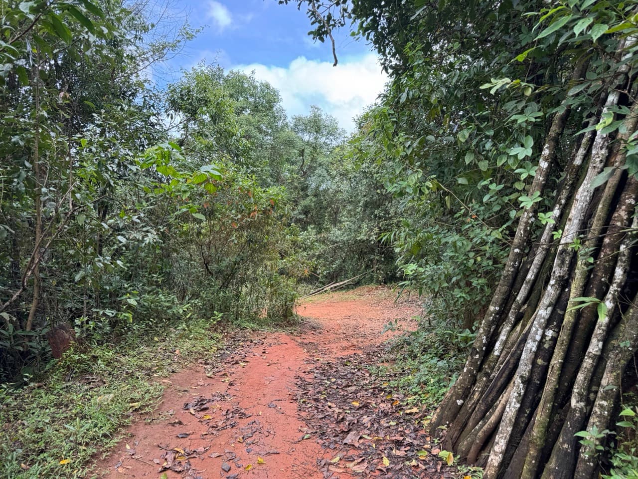 Mae Sariang to Mae Chaem via Village Roads — photo 49