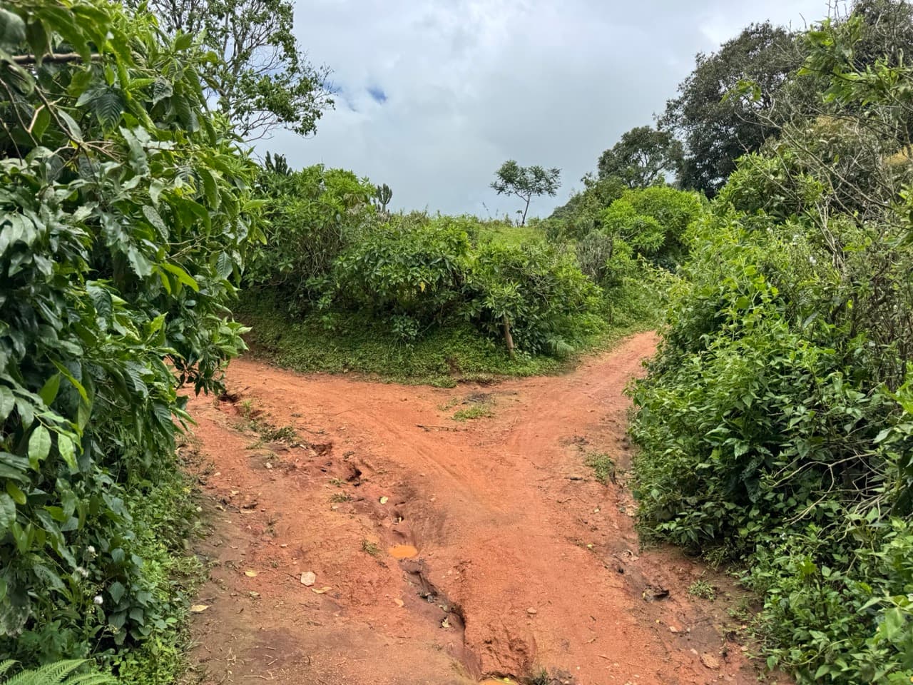 Mae Sariang to Mae Chaem via Village Roads — photo 53