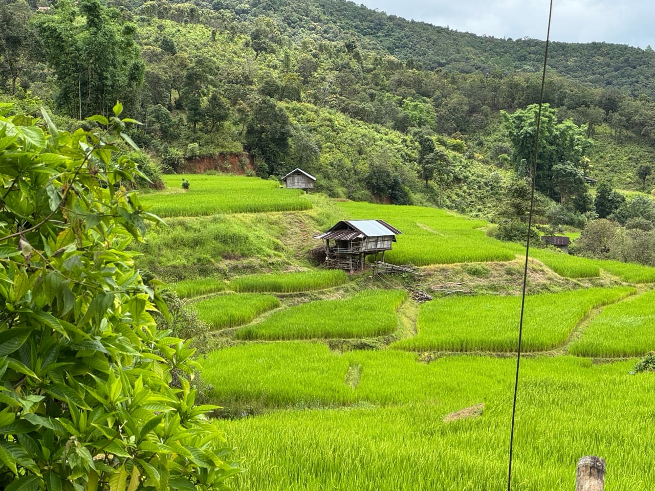 Mae Sariang to Mae Chaem via Village Roads — photo 55