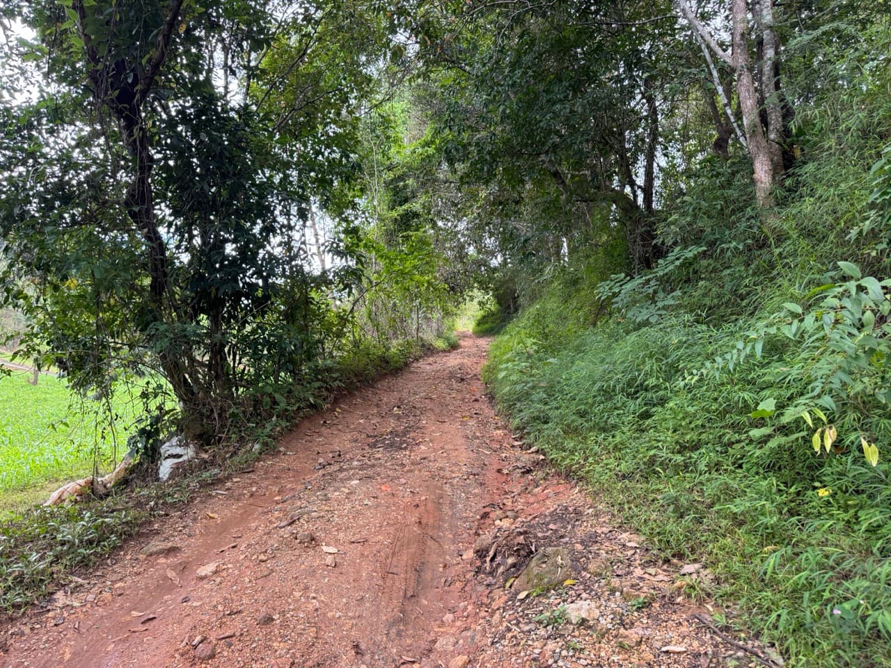 Samoeng to Mae Win Offroad — photo 19