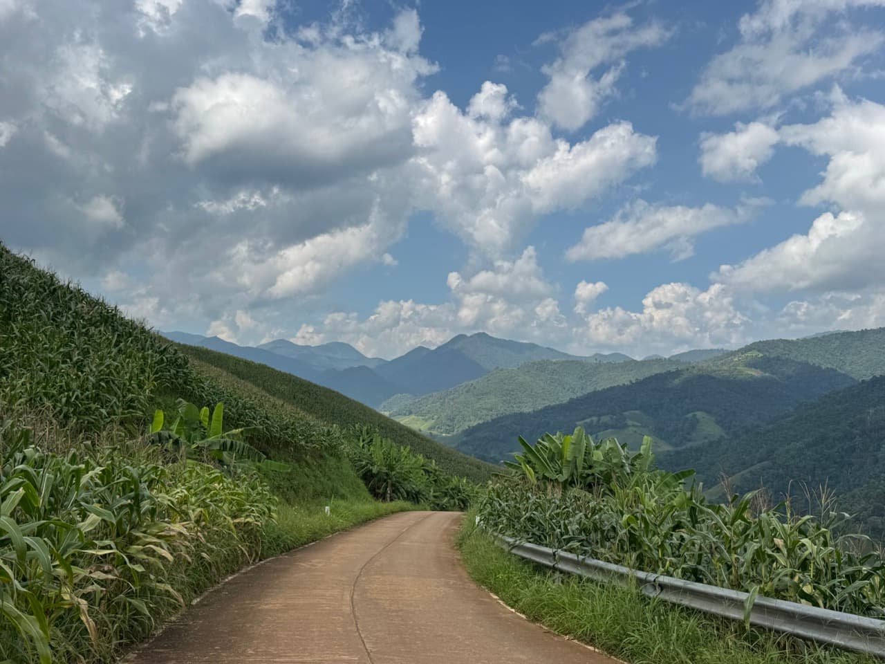 Phang Ma Pha Border Loop (Near Loi Tai Leng) — trail photo