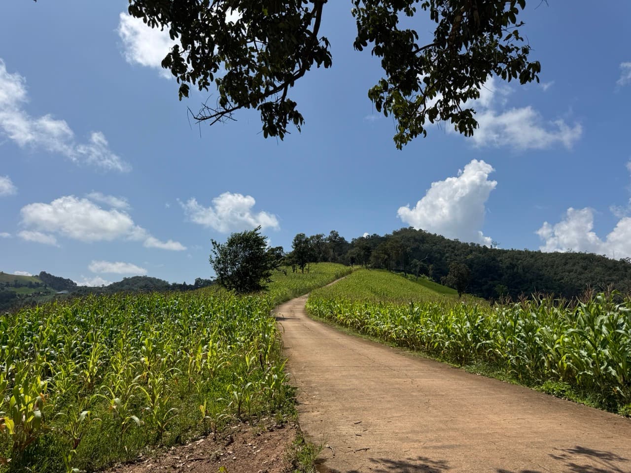 Phang Ma Pha Border Loop (Near Loi Tai Leng) — photo 5