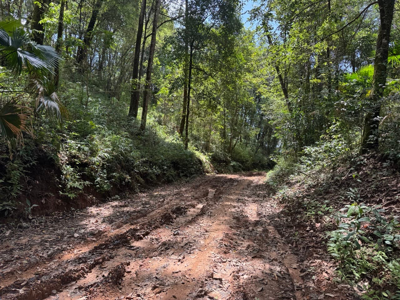 Phang Ma Pha Border Loop (Near Loi Tai Leng) — photo 14