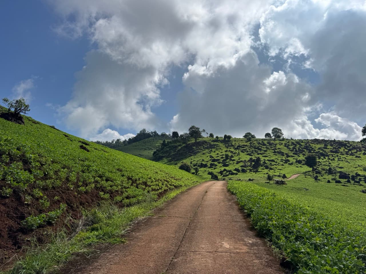 Phang Ma Pha Border Loop (Near Loi Tai Leng) — photo 30