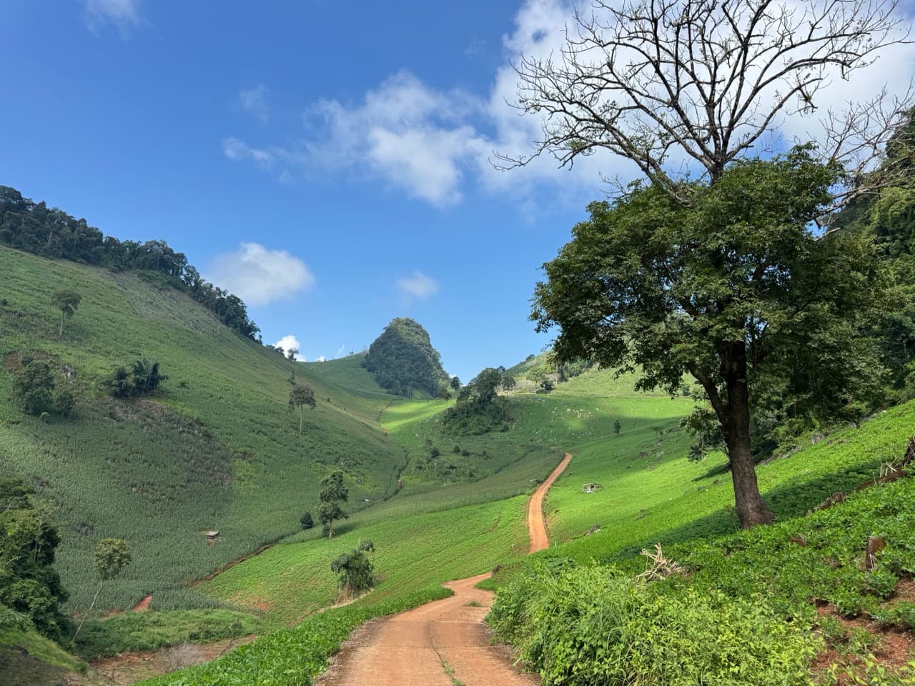 Phang Ma Pha Border Loop (Near Loi Tai Leng) — photo 31