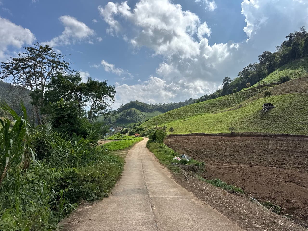 The Ban So Bae Loop Near Phang Ma Pha — photo 4