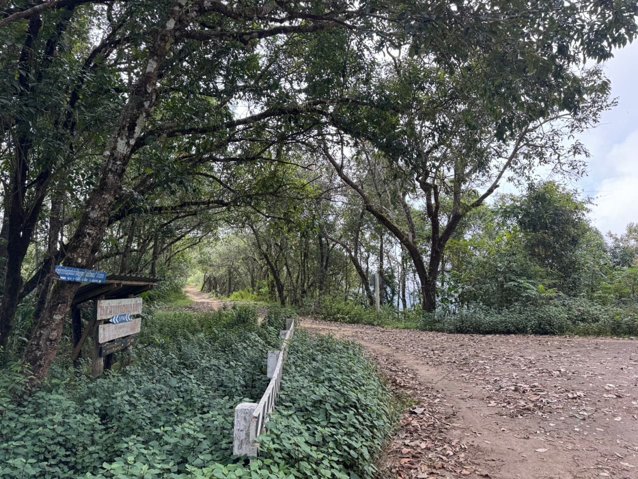 The Mae Hong Son River Run — trail photo