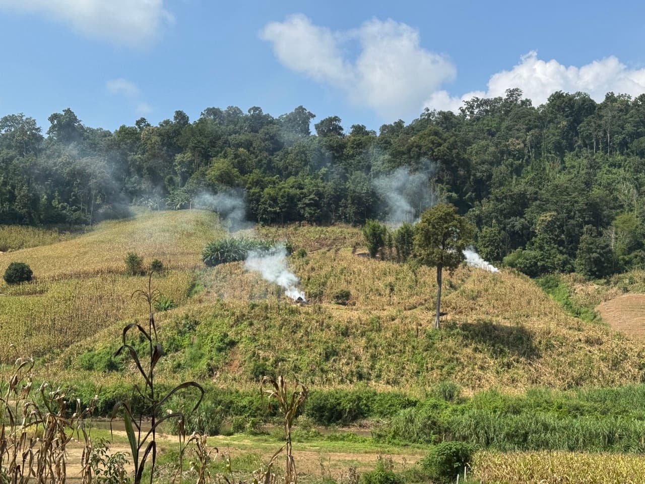 The Mae Hong Son River Run — photo