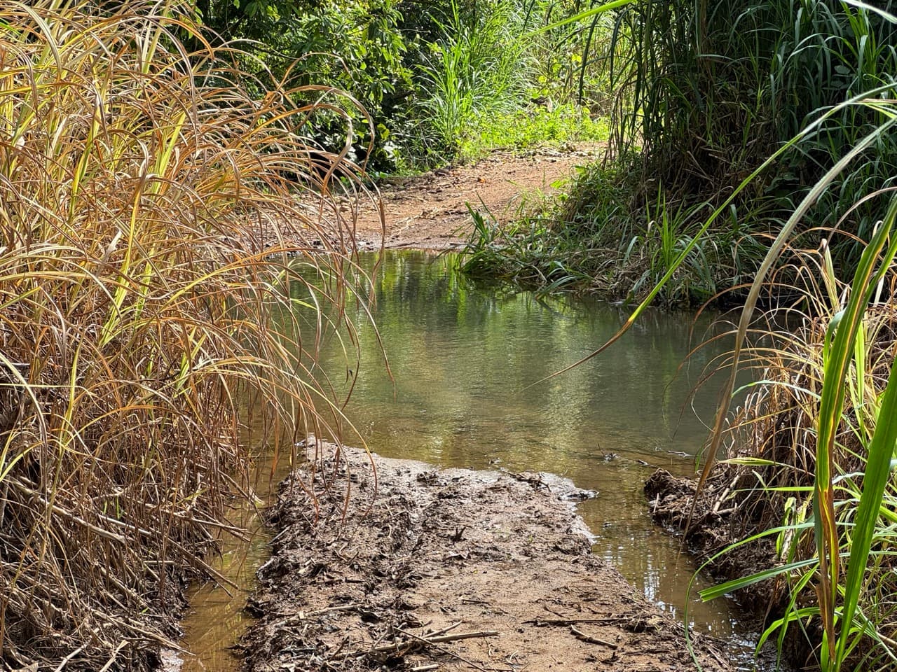 The Mae Hong Son River Run — photo 4