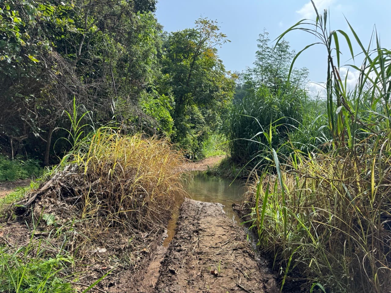 The Mae Hong Son River Run — photo 5