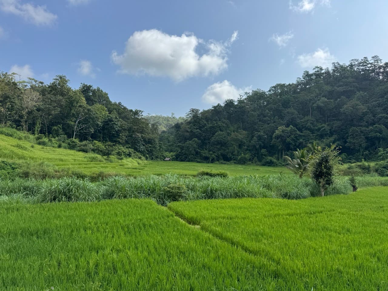 The Mae Hong Son River Run — photo 6