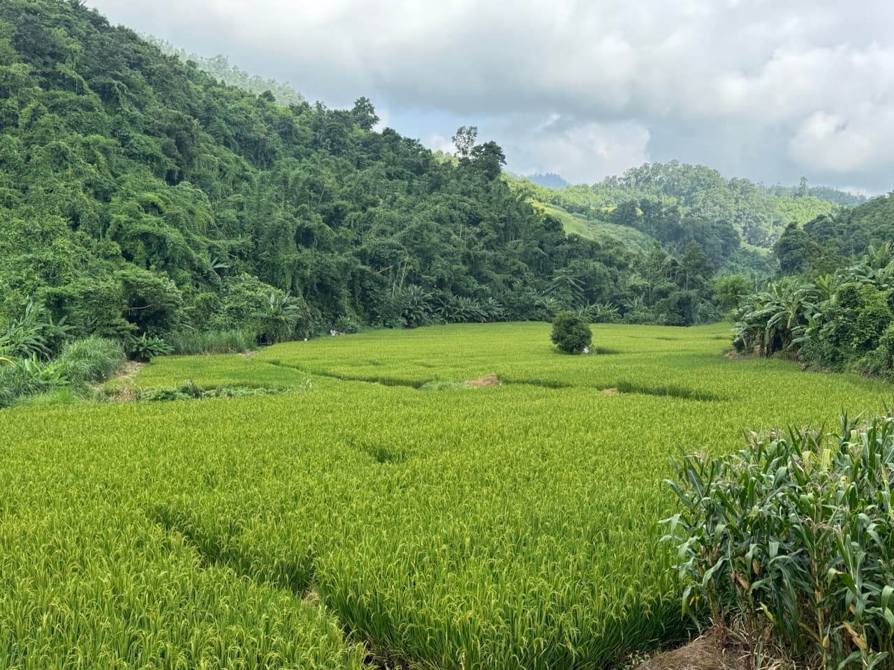 The Mae Hong Son River Run — photo 12