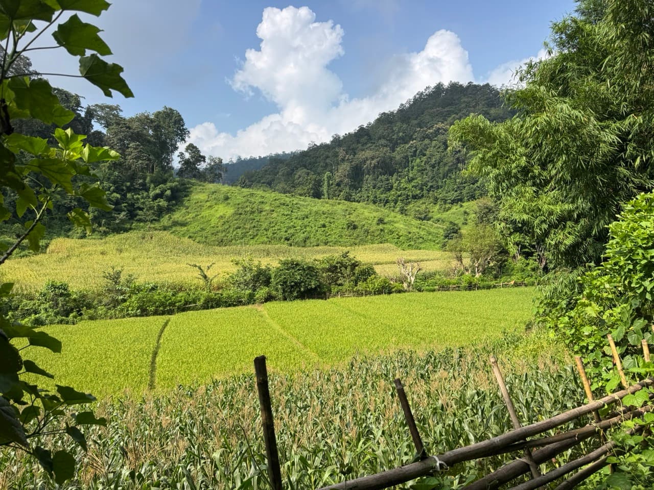 The Mae Hong Son River Run — photo 21