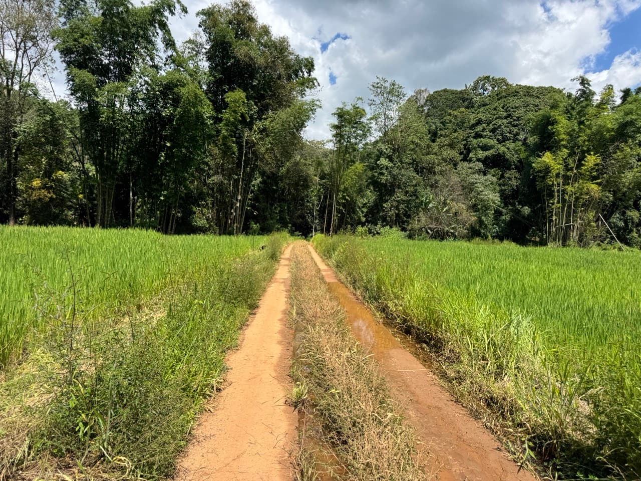 The Tail of the Elephant — photo 4
