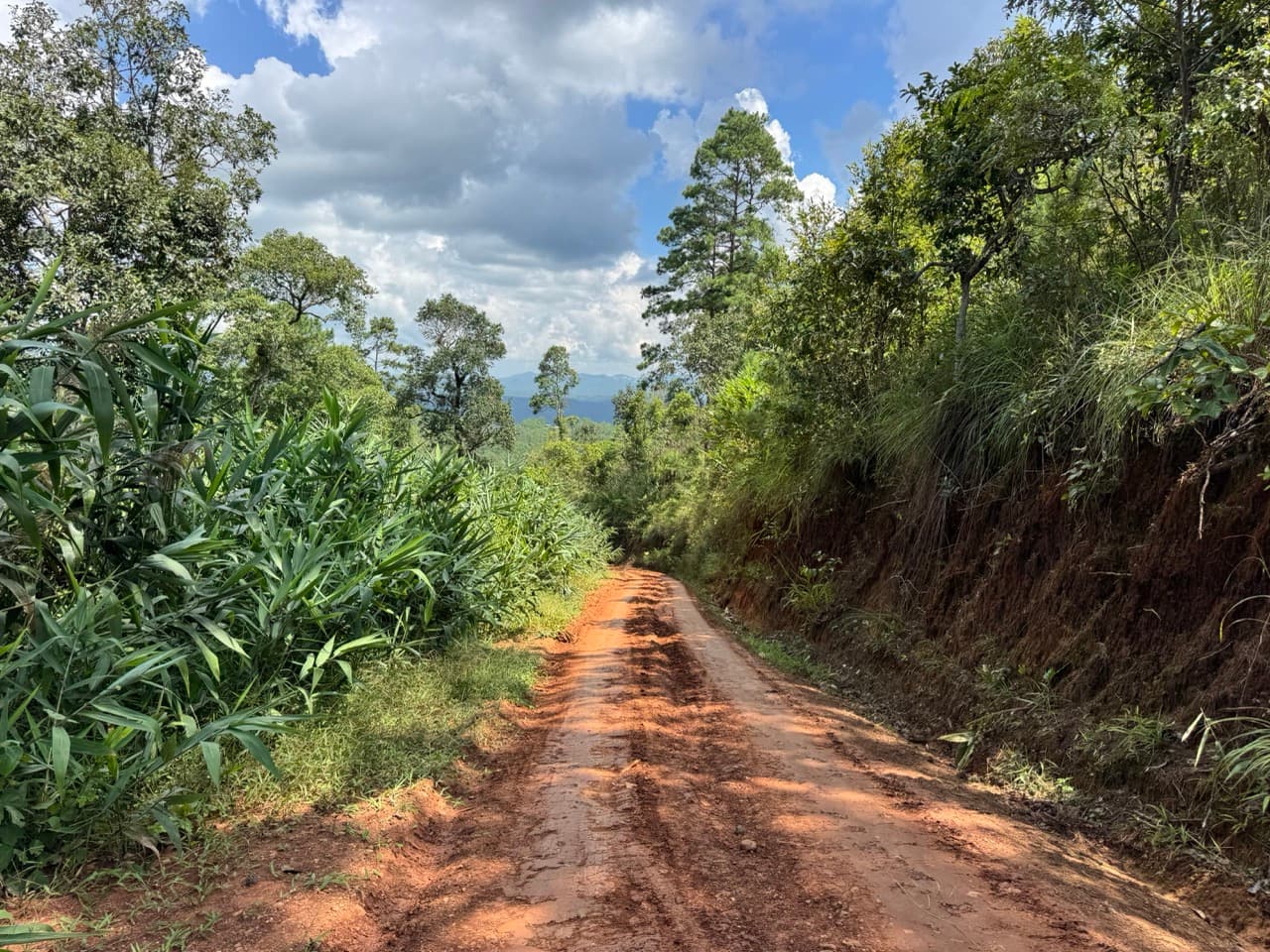 The Tail of the Elephant — photo 6