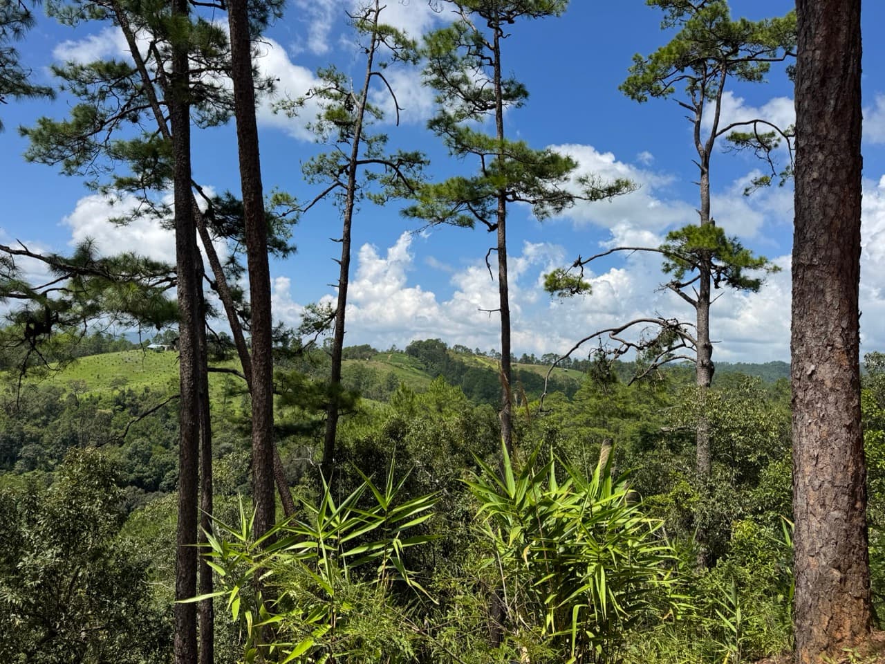 The Tail of the Elephant — photo 7